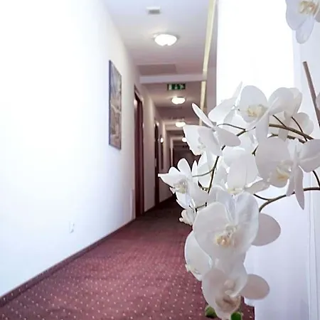 Center Piotrkowska 91 Apartmanhotel Łódź