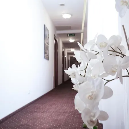 Center Piotrkowska 91 Apartmanhotel