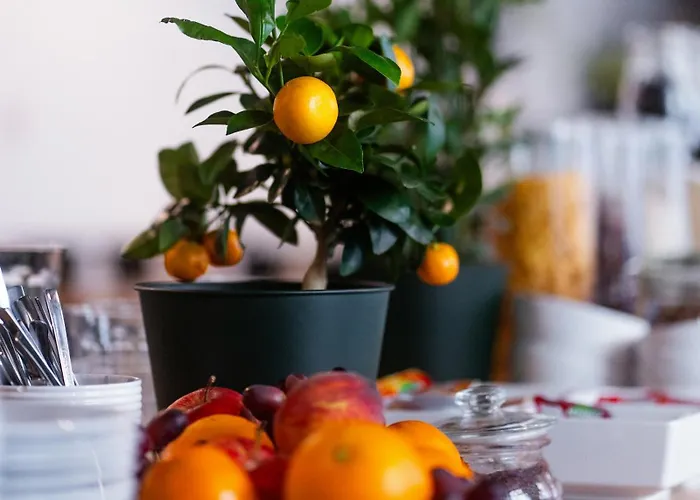 Апарт-отель Center Piotrkowska 91