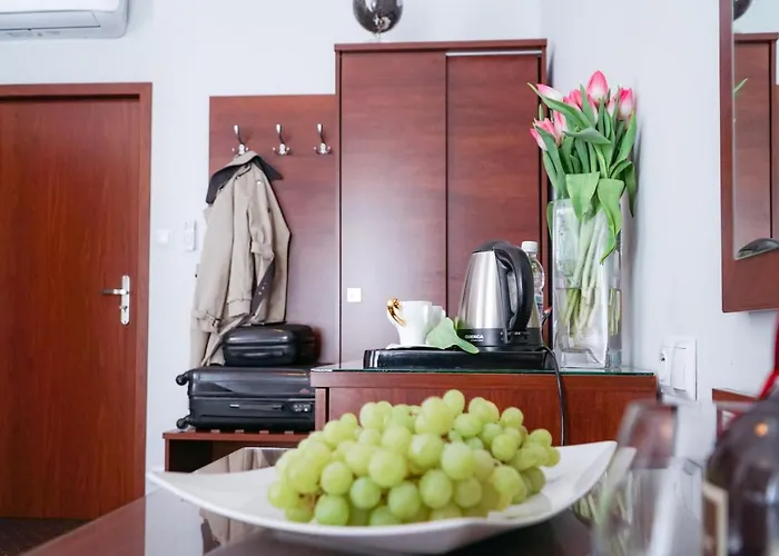 Center Piotrkowska 91 Lägenhetshotell Łódź