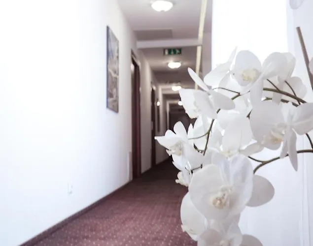 Center Piotrkowska 91 Апарт-отель